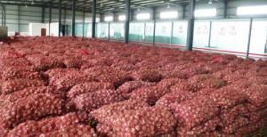  智能倉儲起重機——農(nóng)業(yè)領域“首秀”